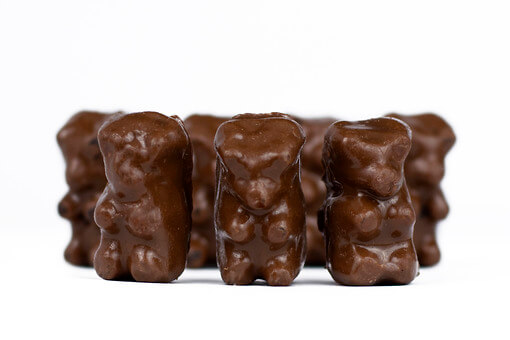 Chocolate Bears