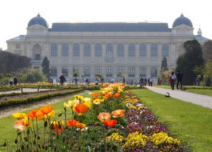Garden of Plants in Paris