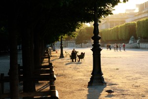 Intensive French classes for students and professionals in Paris