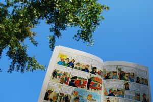 Tintin comics in French